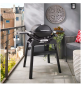 Preview: Weber Q 1200N Gasgrill mit Seitentischen und kompaktem Stand, 1501083